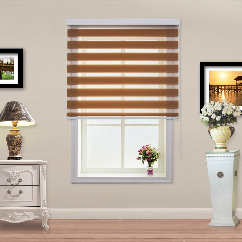 Customized Day and Night Zebra Blinds