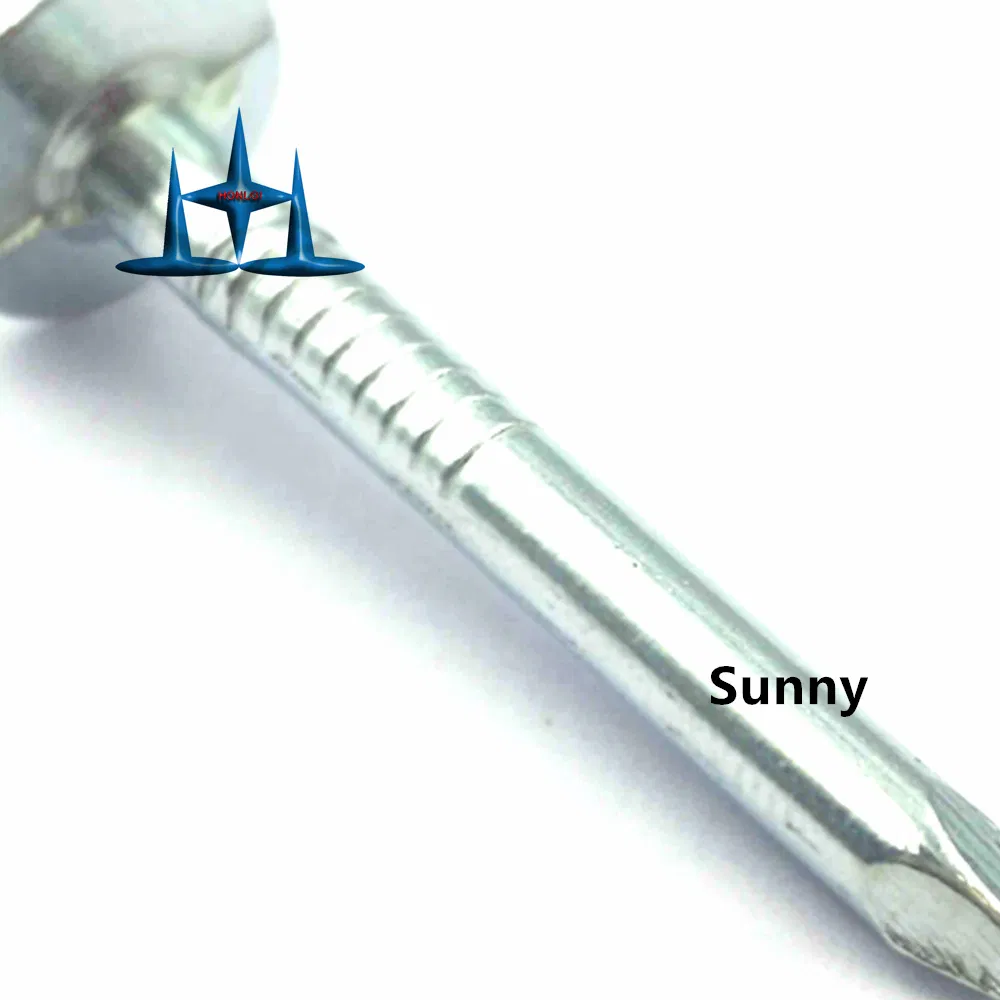 ASTM F 1667 1-1/4" X 11 Gauge Sm Eg Roofing Nails American Market Roofing Nails Canadian Market Roofing Nails Made in China Factory Roofing Nails