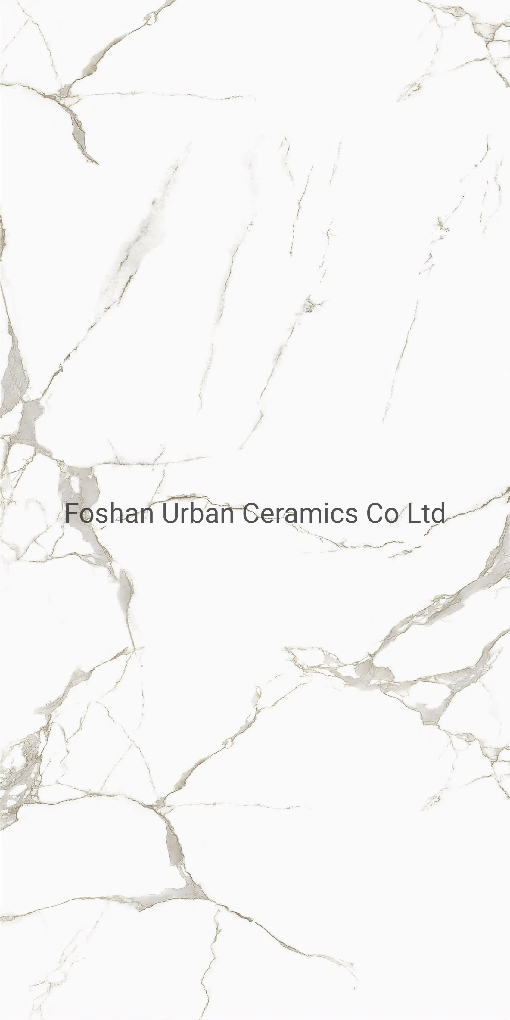 Tb612001 Foshan Caracatta White Carara White Color Decoration 600X1200mm Full Body Glazed Polished Porcelain Marble Floor Wall Tile
