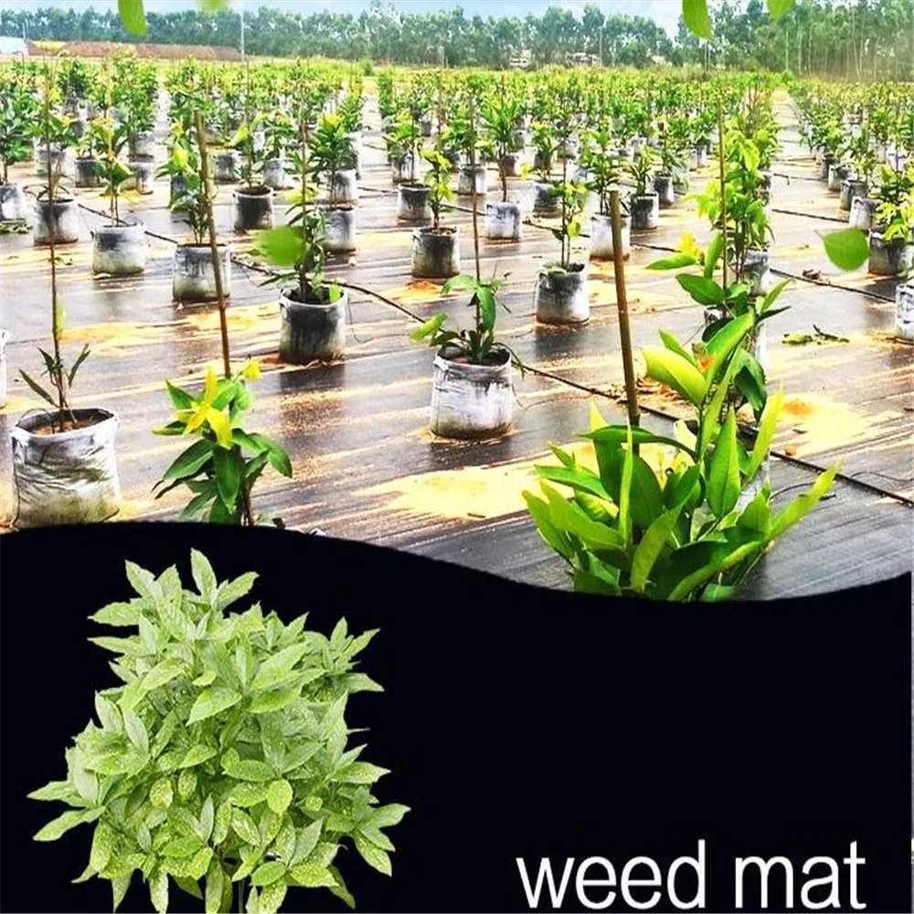 UV Resistance Garden Cover Mat Weed Control Barrier with Distributor Price