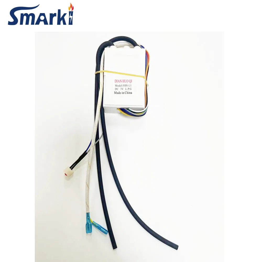 All Kinds of Good Quality Pulse Igniter Gas Water Heater Parts