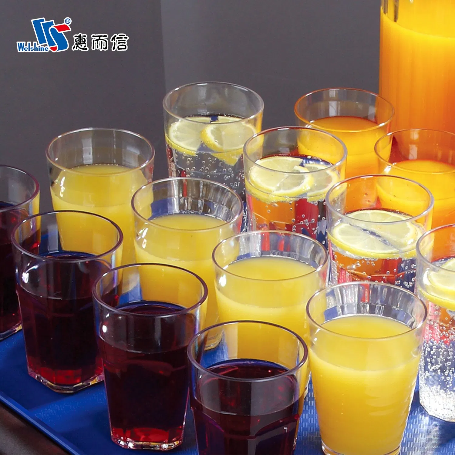 Plastic Frosted Clear Unbreakable Beer Juice Drinks Tumbler Water Tea Cup