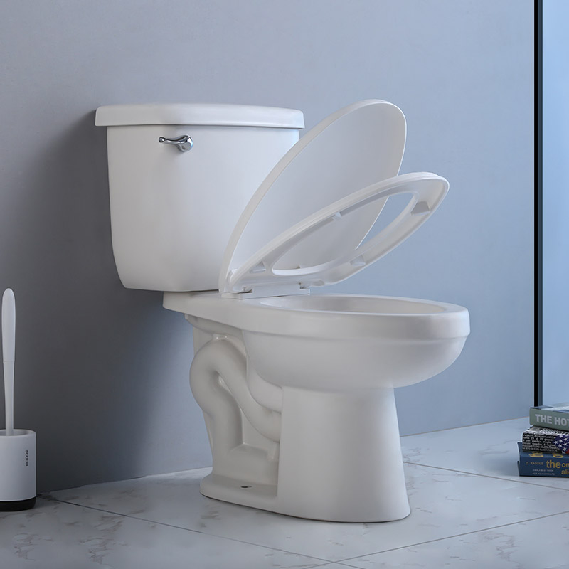 Luxury Sanitary Ware Bathroom Ceramic Siphon Flush Two Piece Wc S-Trap White Self-Clean Nano Water Closet Ceramic Toilet