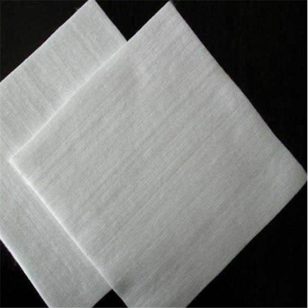 High Quality Waterproof Membrane Non Woven Geotextile for Agriculture