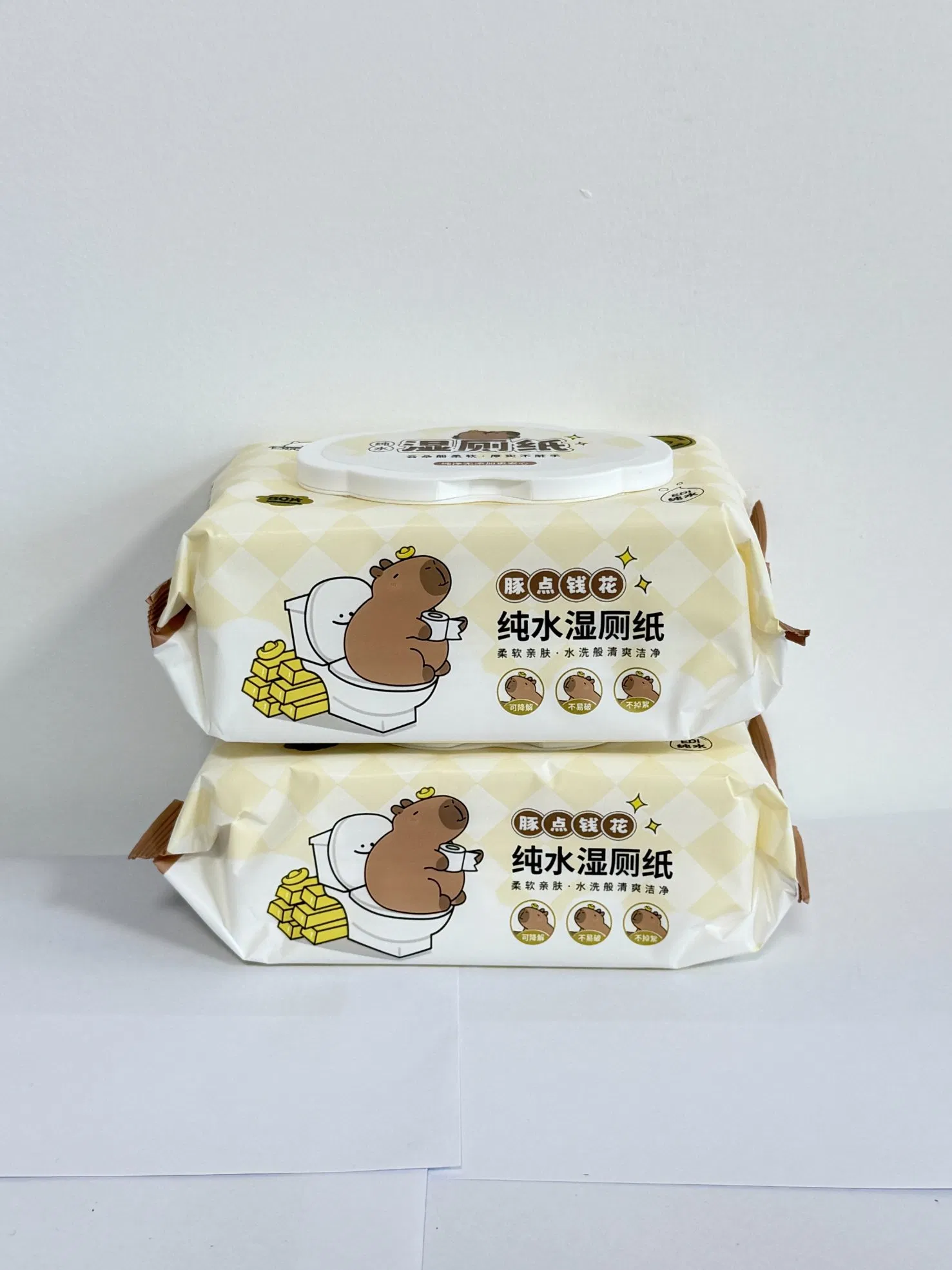 Eco Friendly Flushable Moist Toilet Wipes Supplier
