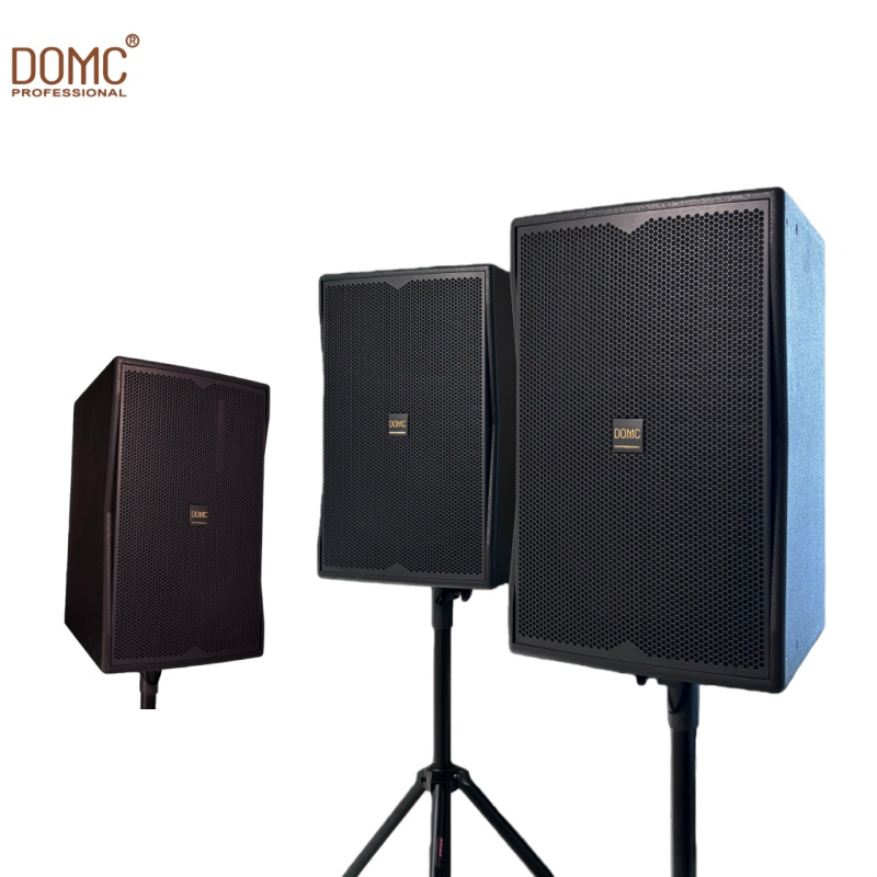 10-Inch Domc K210 Speaker with High Power Handling Capacity
