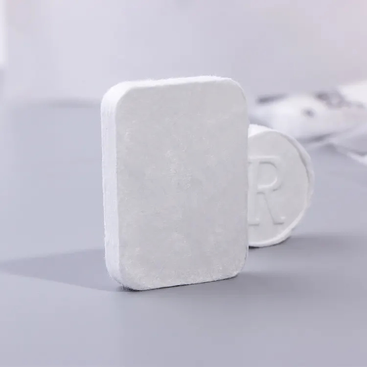 Biodegradable Mini Plain Custom Shaped Travel Cotton Portable Tablet Compressed Towel