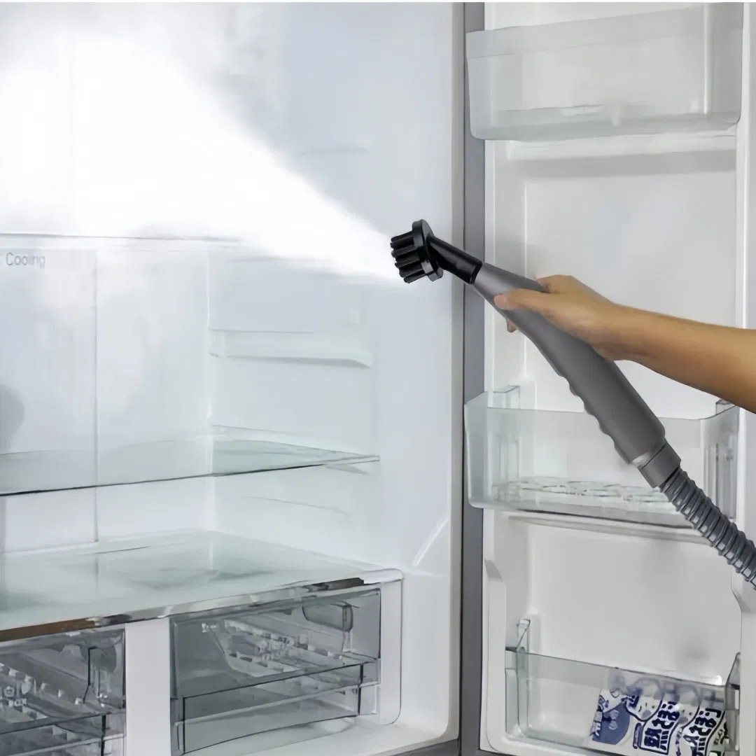 2025 new design 1200ml water tank Household Multi-function Steam Cleaner with Blue Light Anti-bacterial Function