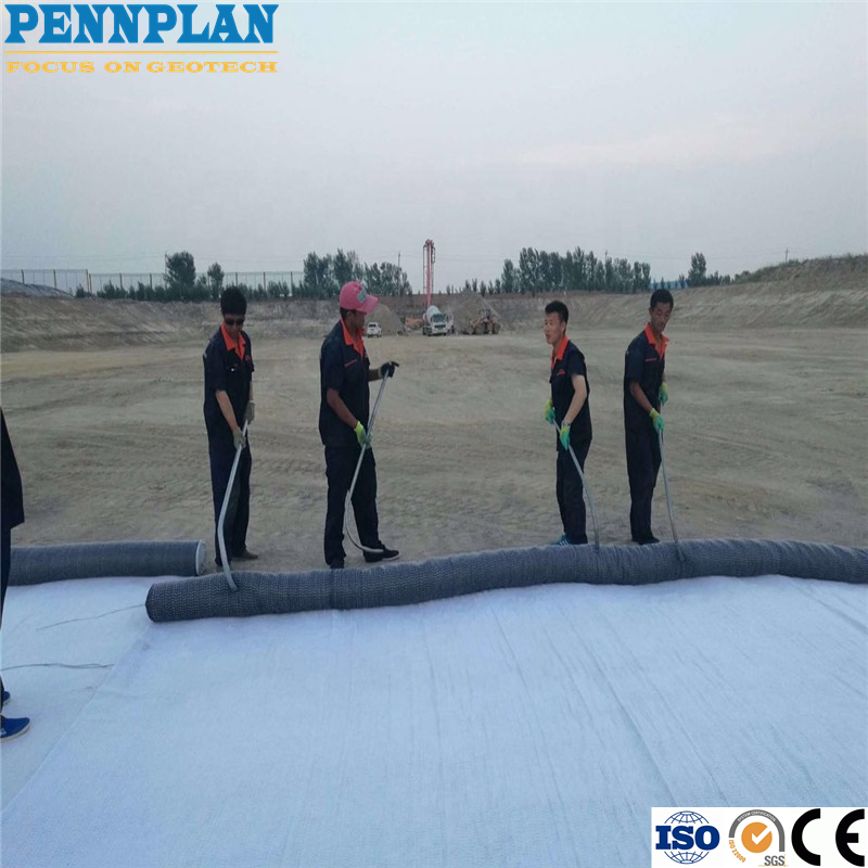 Geosynthetic Clay Liner Bentonite Granules for Fish Farm