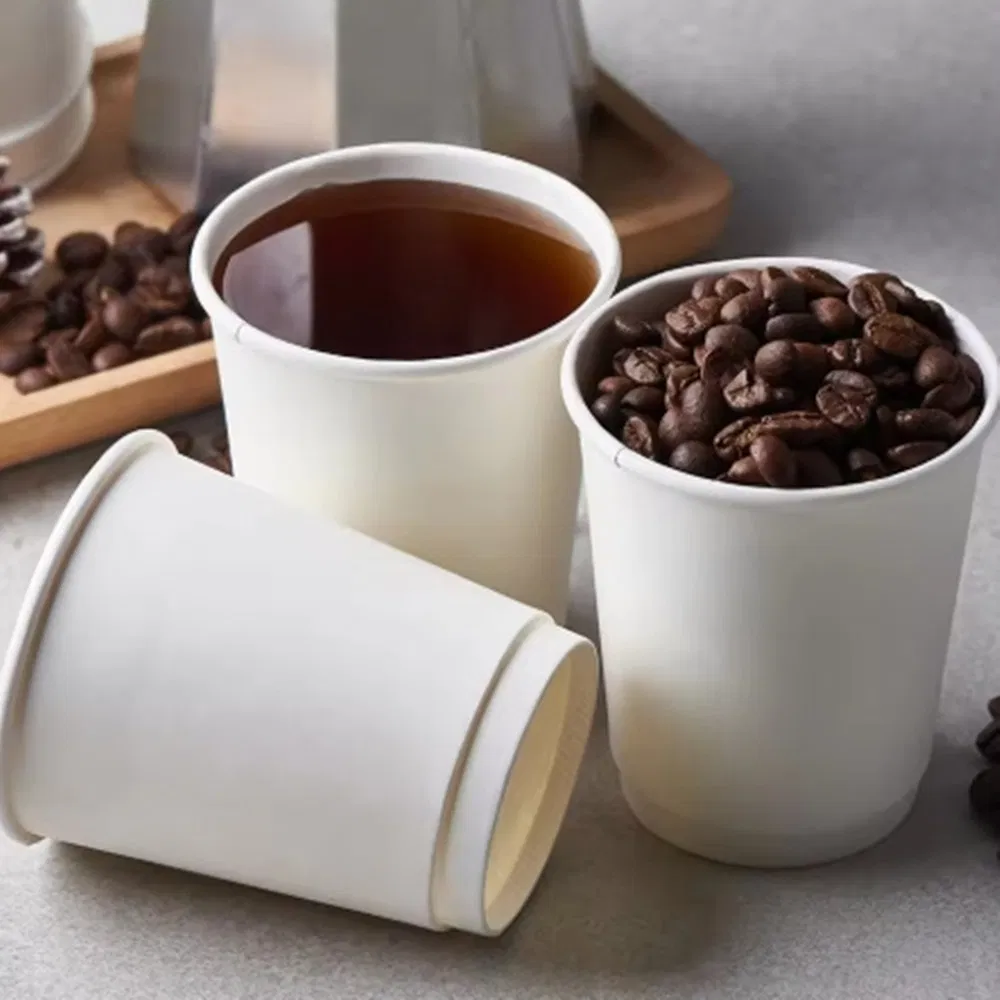 Biodegradable Sugar Cane Cups for Green and Eco-Friendly Events