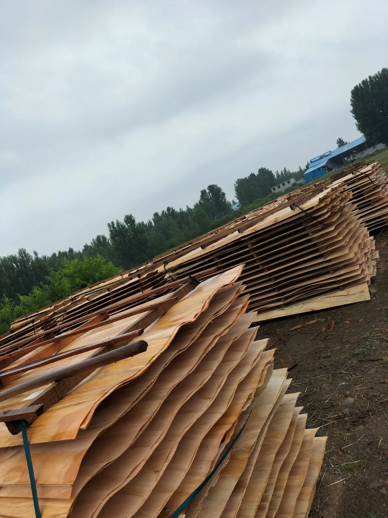 1.7mm Pine Veneer Plywood European Oak American Walnut Sawn Toplayer Floor Sliced Veneer Lamella Floor for Flooring