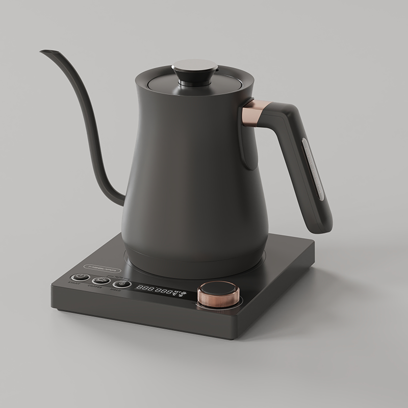 Ranbem Automatic Shut off 1000 Watt Quick Heating Temperature Control Hot Water Boiler Pour Over Tea Kettle