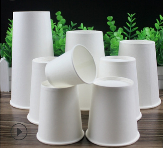 6oz Disposable Drinking Cup, Coffee and Tea Cup with Printed Logo