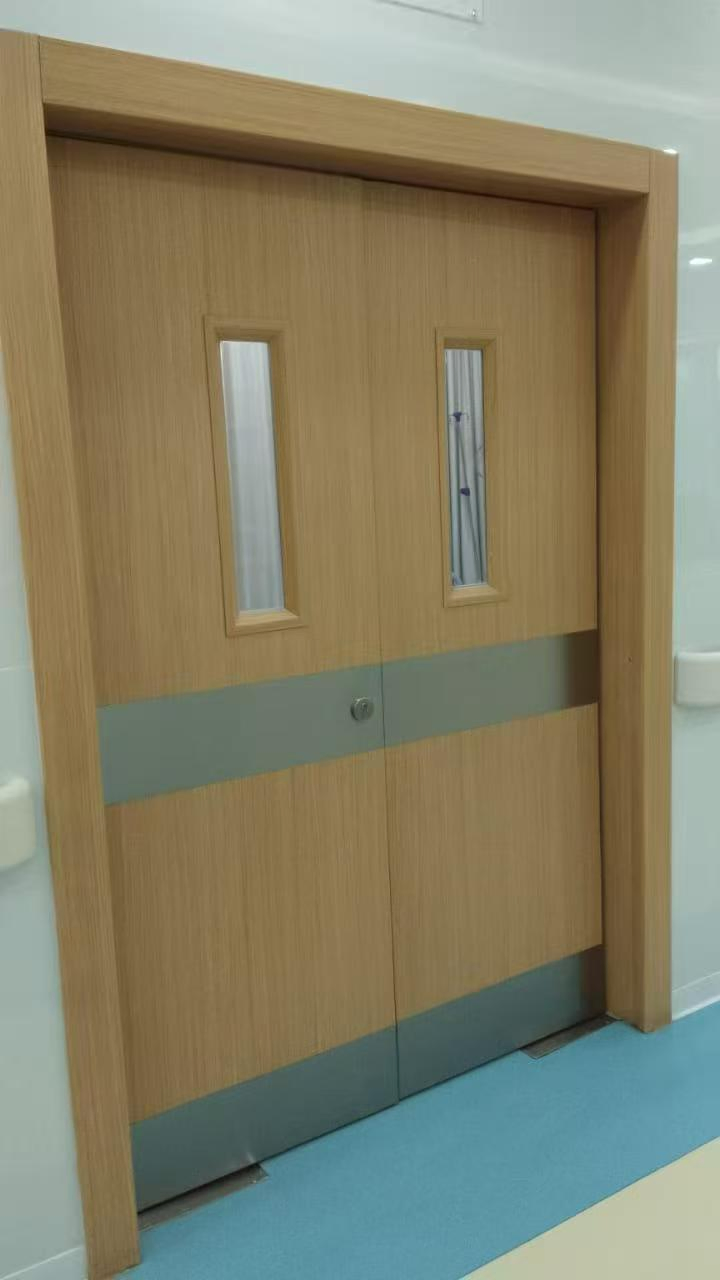 UL Fire Rated Steel Door with Wooden Color and S. S Plate