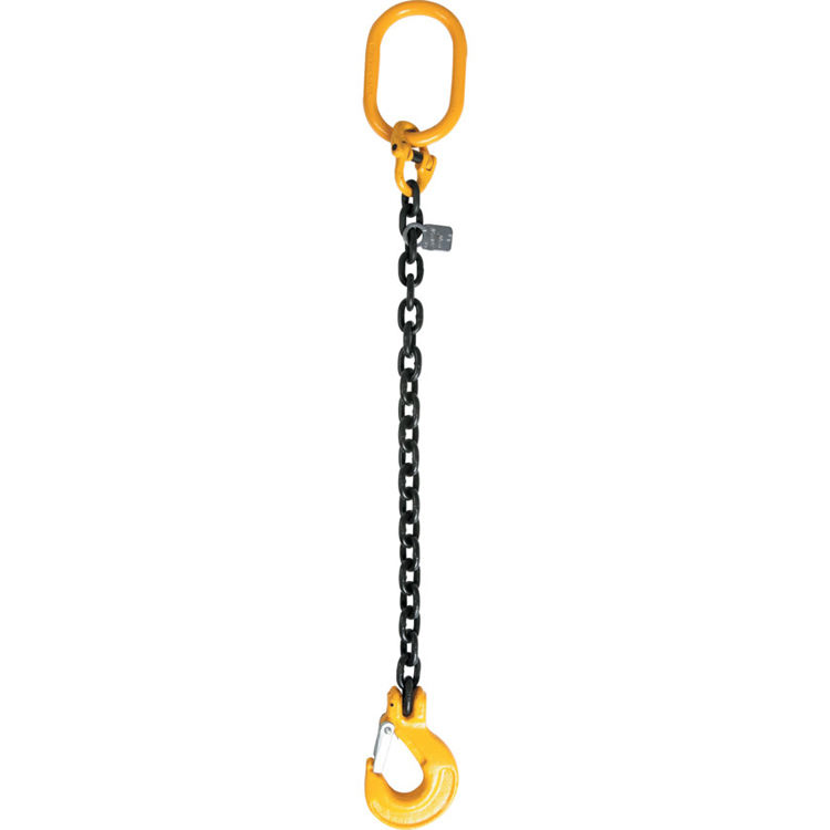 Strong G80 Alloy Steel Lifting Chain Sling Hook