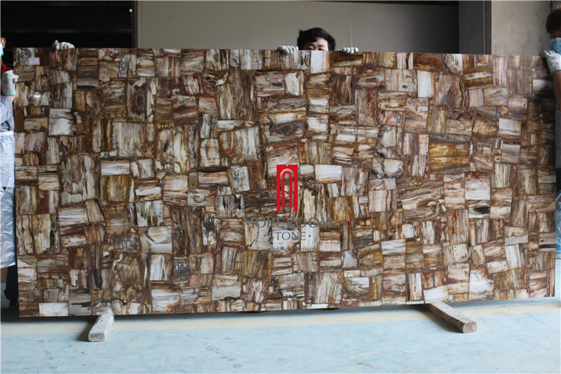 Gemstone Petrified Fossil Wood Stone Slab