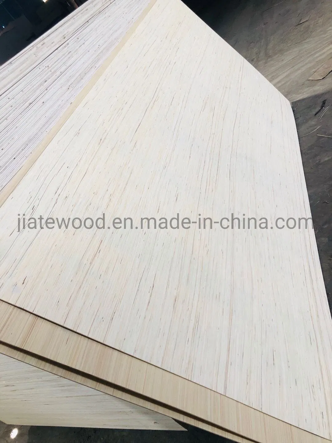EV Poplar Plywood in Size 1220X2440 mm