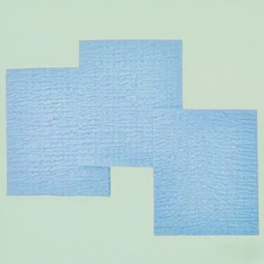 Medical/Kitchen Scrim Washable Paper Degradable Dustless Lint-Free High Strength
