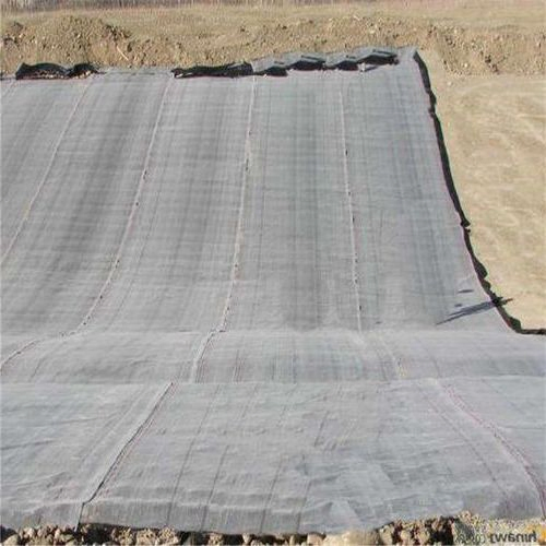 HDPE Landfill Mat for Artificial Lakes Bentonite Geomembrane Waterproof Material