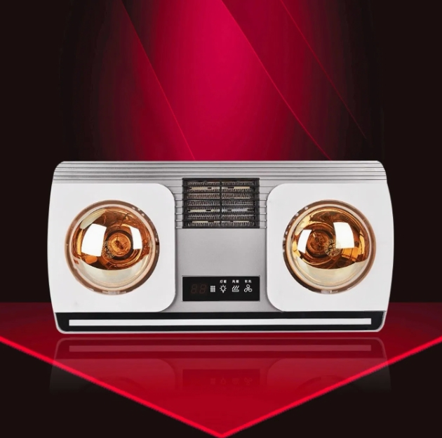 Infrared Heater Fan Newly 220V Indoor Portable PTC Heater