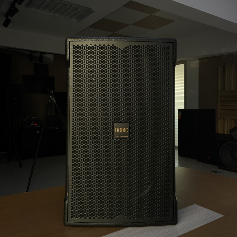 10-Inch Domc K210 Speaker, Robust Power and Frequency Response