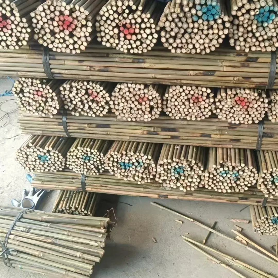 Premium Quality Bamboo Poles Canes, Ideal for Garden Trellis and Support Structures