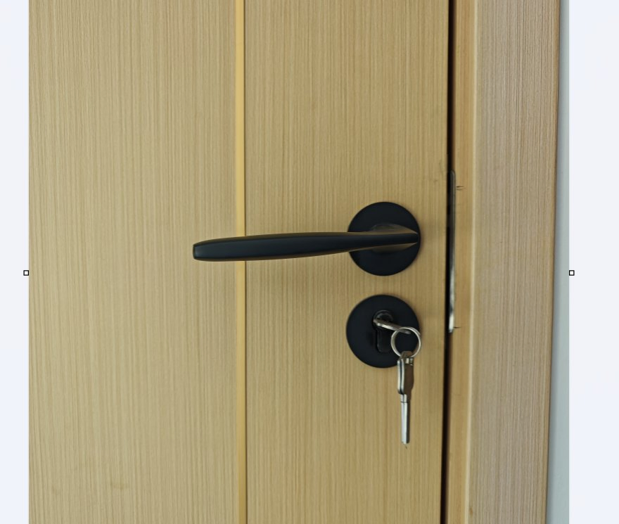 Insulated Wooden Fire Door