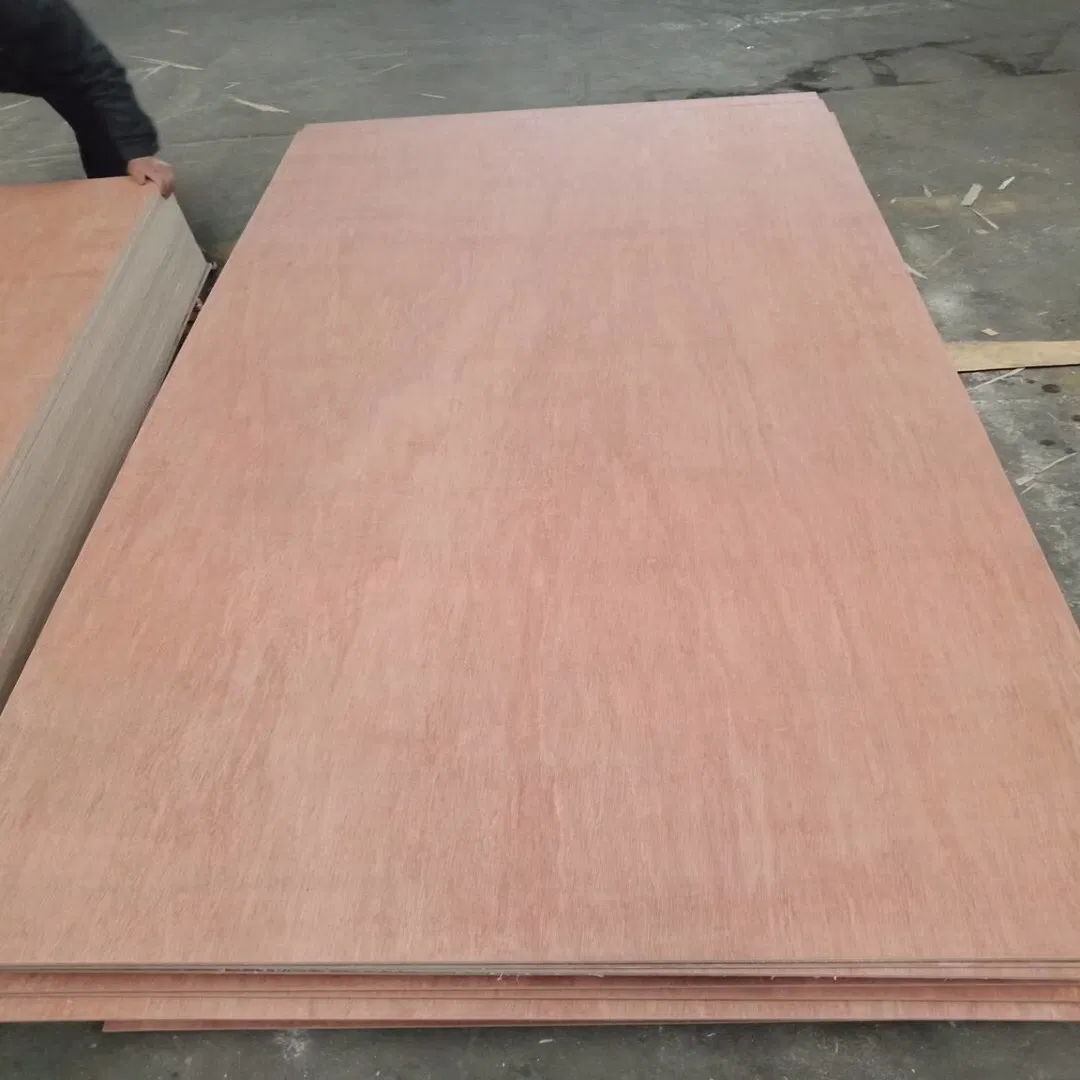 Wood Furniture Construction Plywood Film Faced Plywood