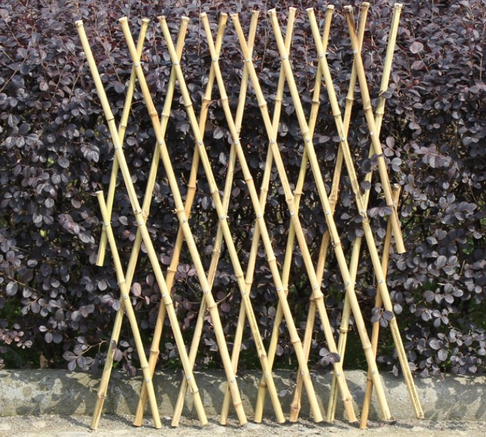 Natural Tonkin Bamboo Fence/Guardrails for Gardens Have a Protective Effect
