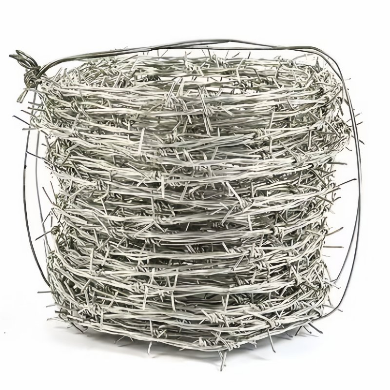 China Barbed Fence Galvanized Thorn Rope Barbed Wire Caltrop for Fence Wire Steel Wire Chain Link Fence
