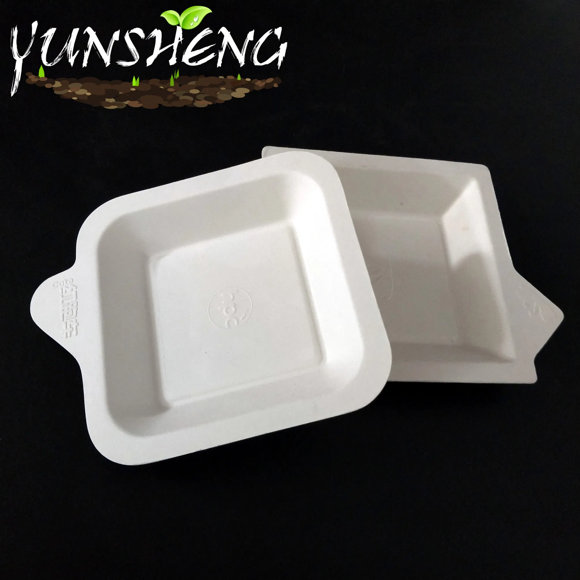 Disposable Manufactural Bagasse Pulp or Bamboo Fiber Paper Customized Square Plate for Delicious Cooking