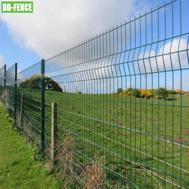 PVC Coated 50X200mm High Quality 3D Bending Curved Welded Iron Wire Mesh Farm Garden Fence Panel