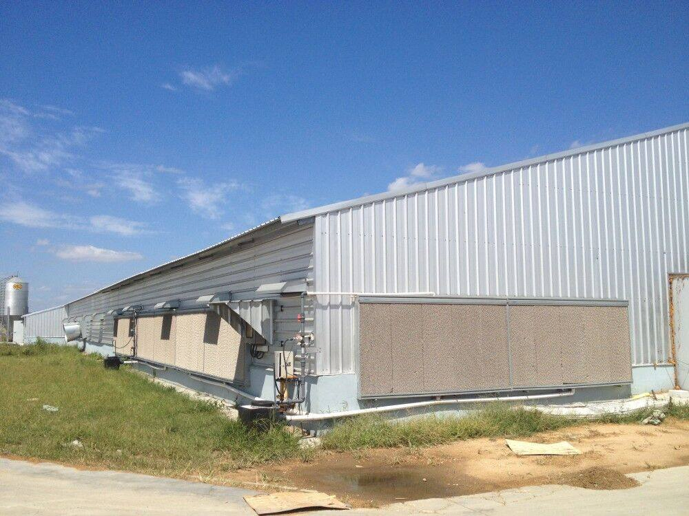 Classic Factory Designed Prefabricated Steel Structure Chicken House for Cage Feed