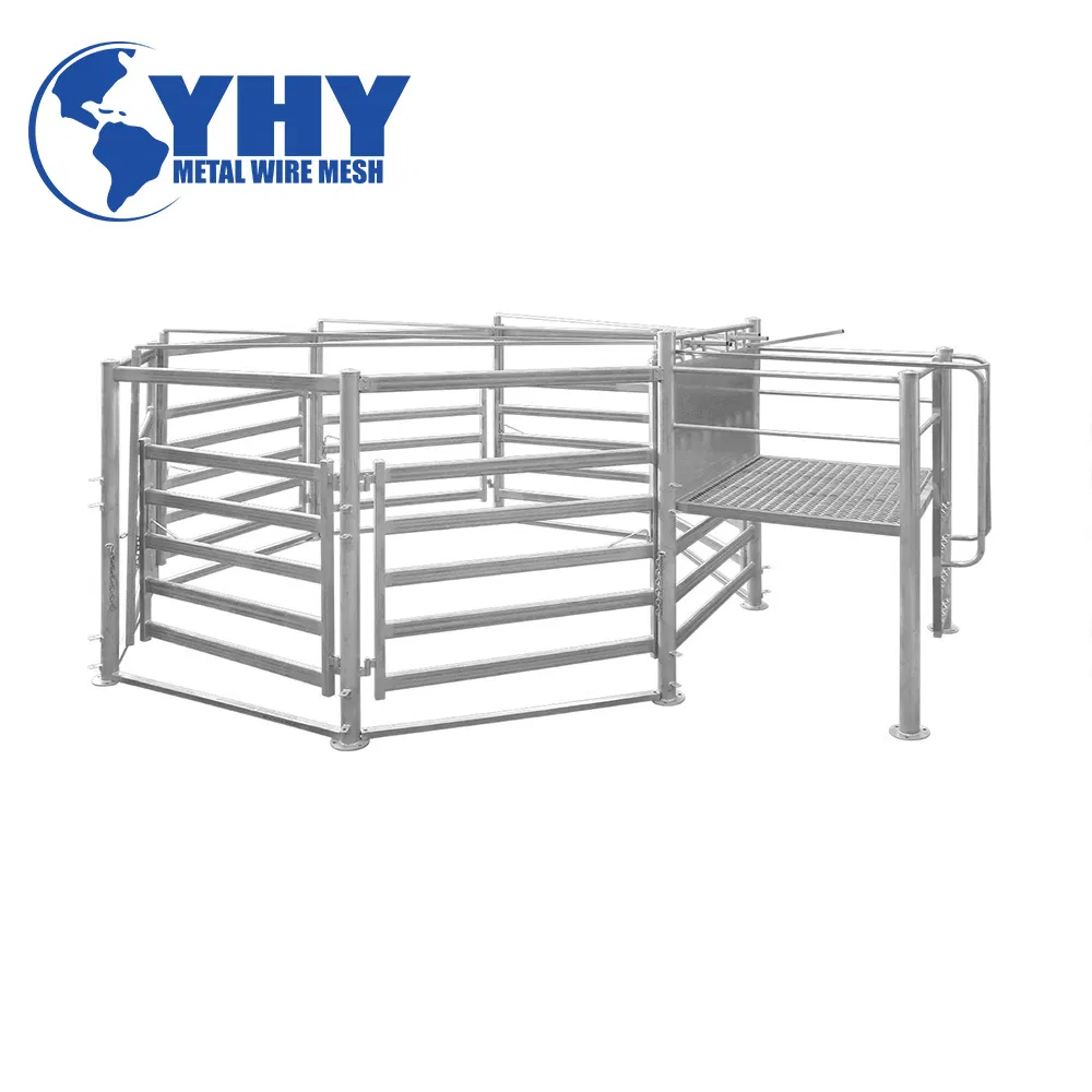 Cattle Yards for Farm Safety and Animal Welfare