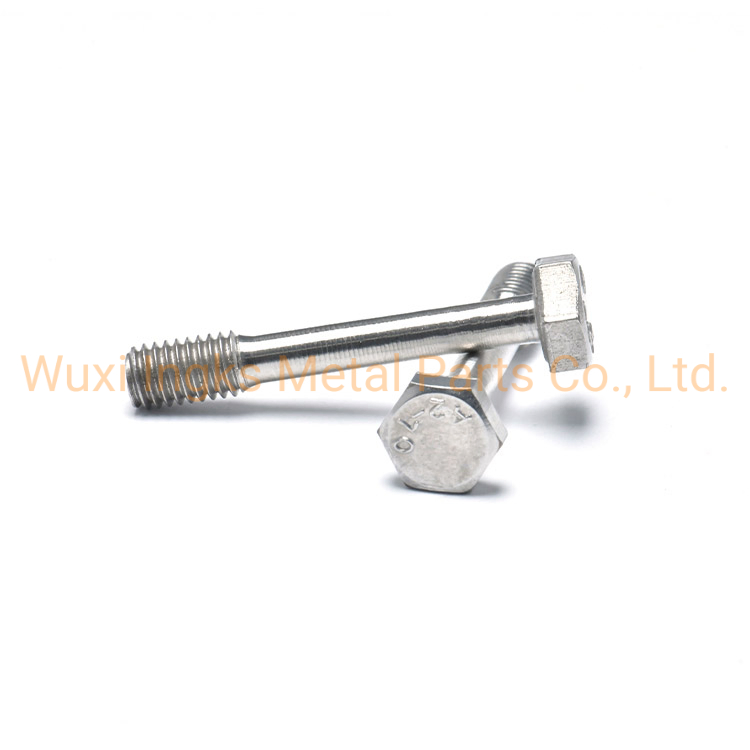 Inox A2-70 A4 Metric Size Stainless Steel Hex Head Captive Screw