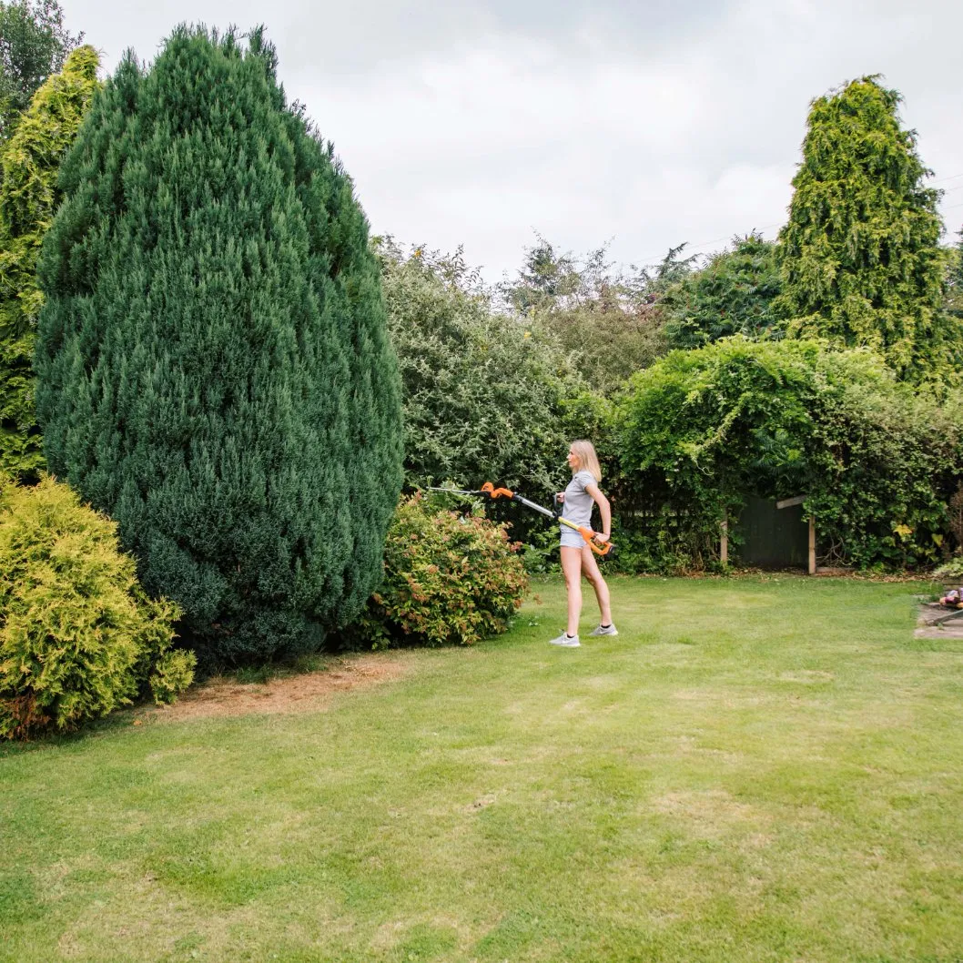 Proper Gap Design Vertical Trimming Cordless Pole Hedge Tree Trimmer - Lh C41A