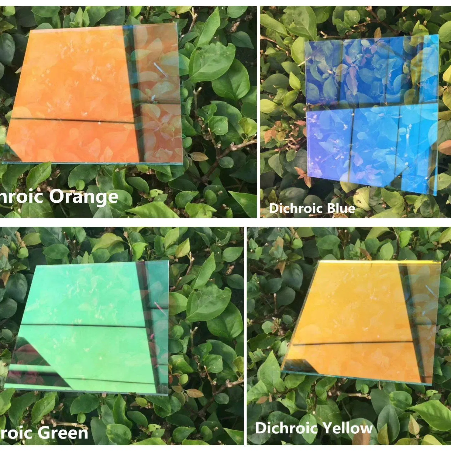 Colored Glass /Art Glass / Dazzle Colour Glass for Glass Curtain Walls Decorative