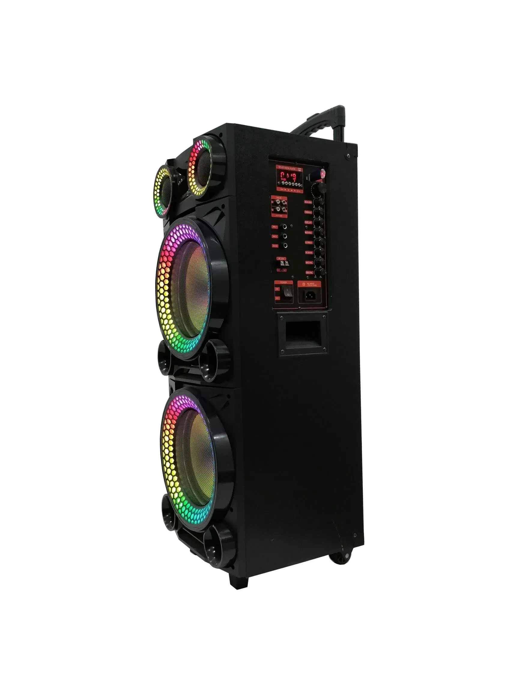 Double 10 Inch Plastic + Wooden Case Professional Speaker Woth Lighting