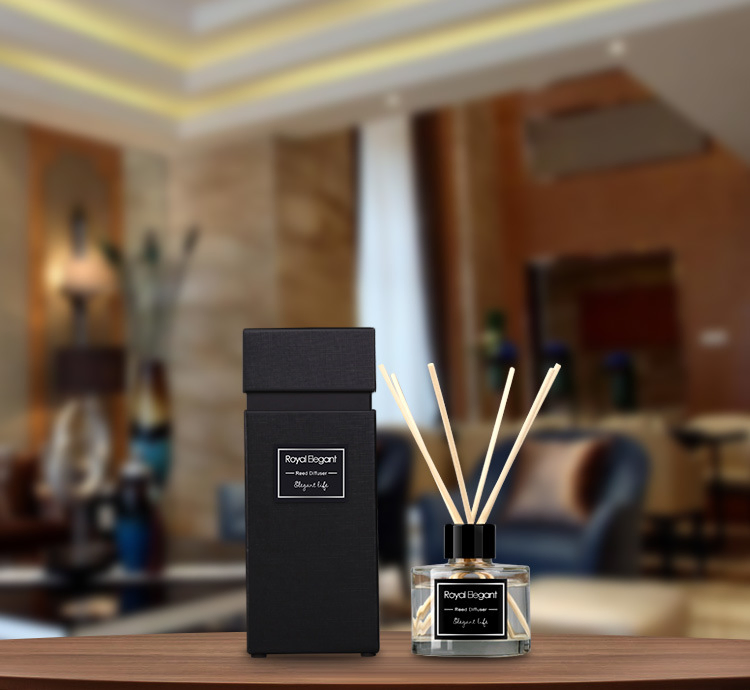 100ml New Design China Popular Reed Diffuser Aroma Freshener