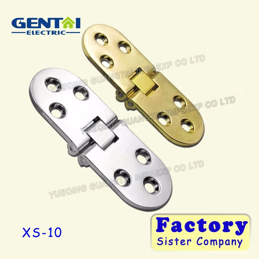 Furniture Hinge Type Stainless Steel Door Hinge Concealed