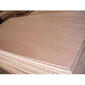 BB/CC Grade Plywood/Bintangor Plywood