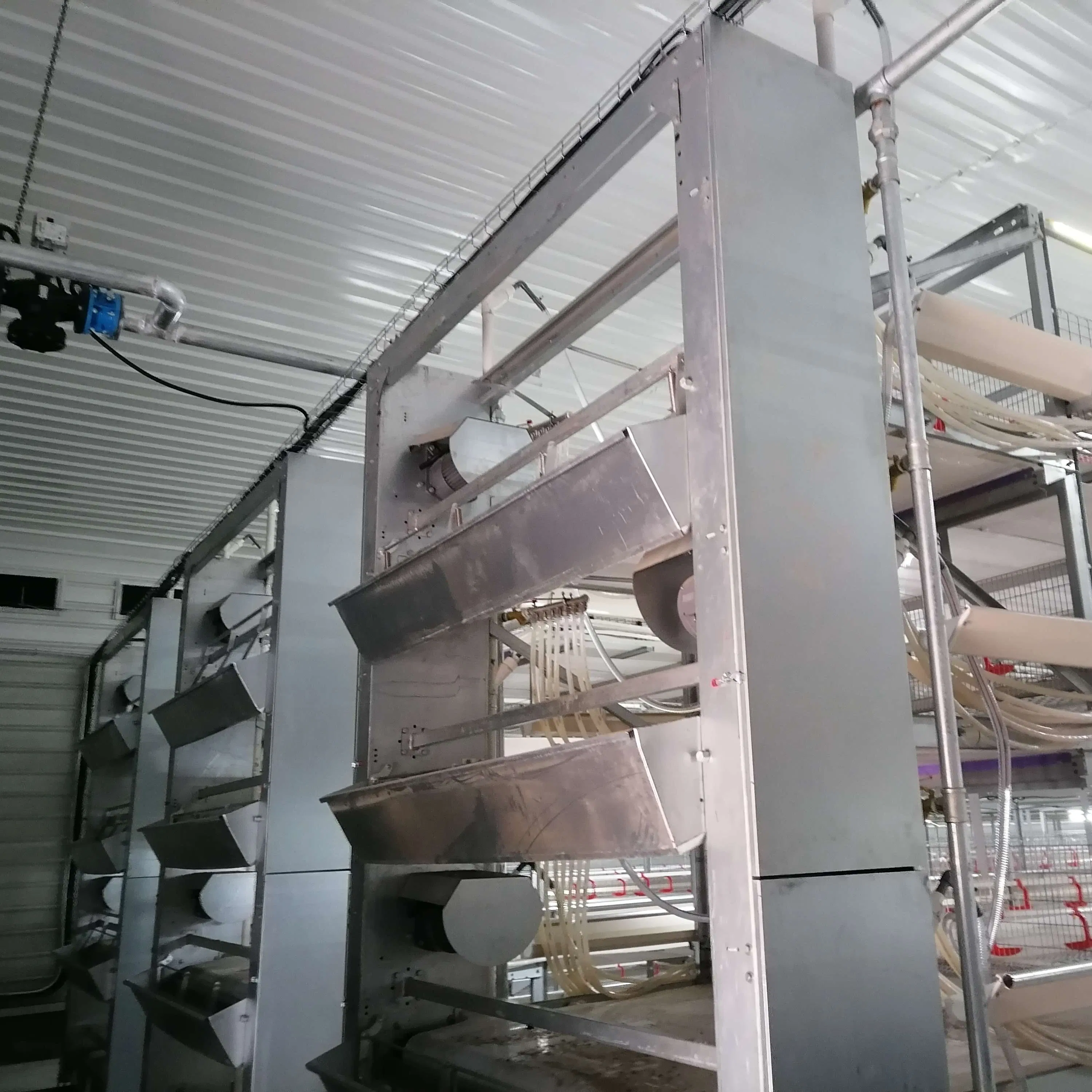 Prefab Steel Structure Animal Poultry Shed Chicken Farming House Building