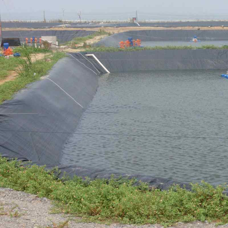 PP Anti-Sepal Geomembrane, Strong and Ductile for Railways/ Airports/ Municipal Roads