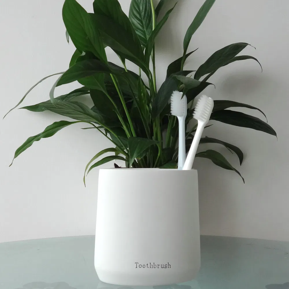 Hot Sale Factory Direct Polyresin Toothbrush Holder for Home (BP2392-WP)