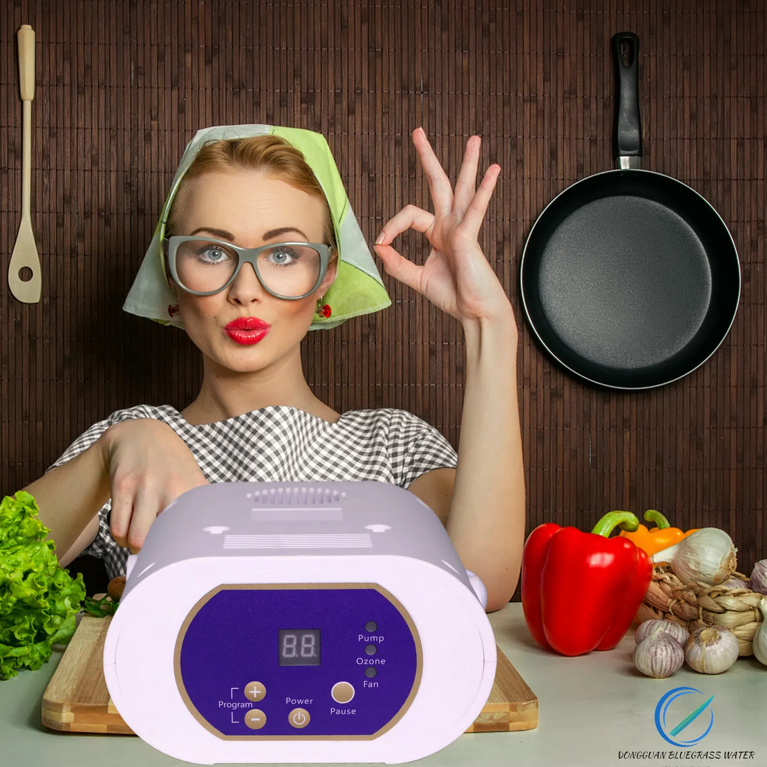 O3 800mg/H Household Ozonizer Water Sterilizer Machine Air Purifier Ozono Generator Ce Approve