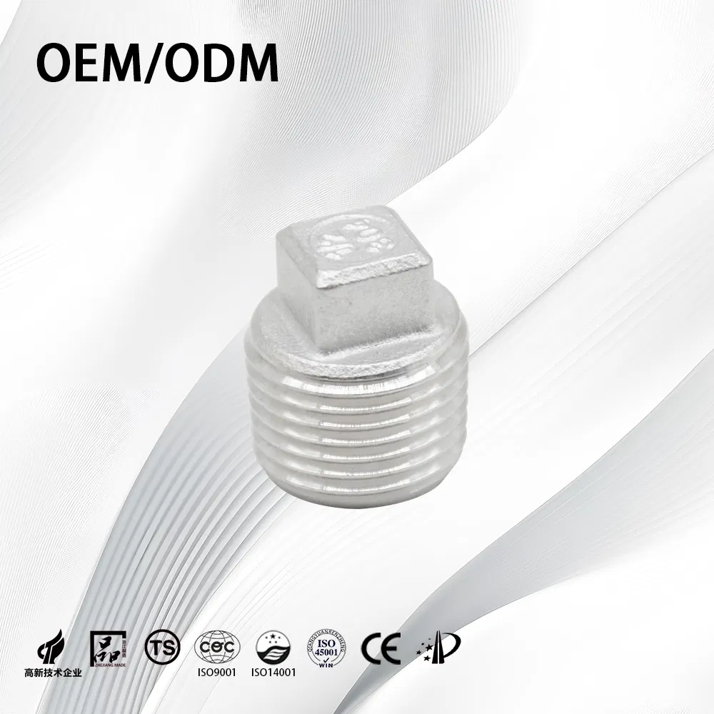 Stainless Steel/Carbon/Sanitary/Customize/Nipple Connector Threaded/Pipe Fittings/Plumbing/Tube/End Plug with Fitting Accessories