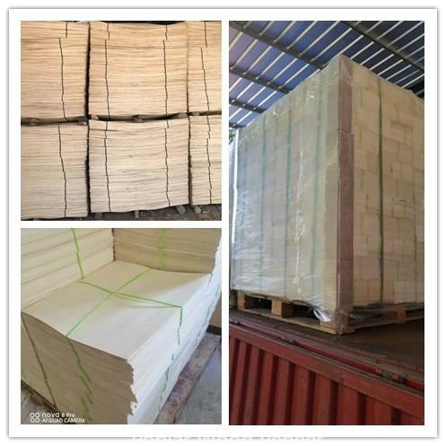 Pure White /1.2mm/ Poplar Wood/Poplar Core Veneer