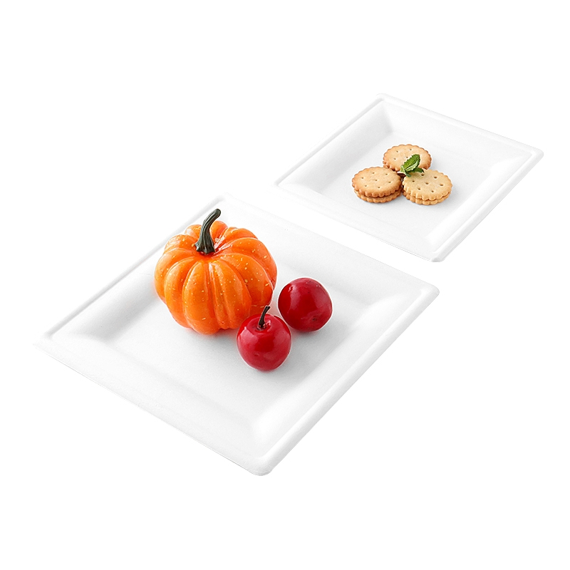 Compostable Product Disposable Sugarcane Paper Tableware Food Packaging Eco Friendly Bagasse Biodegradable Plate