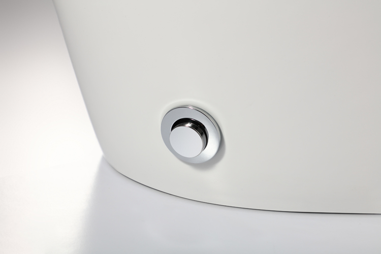 Bidet Smart Toilet Bidet System