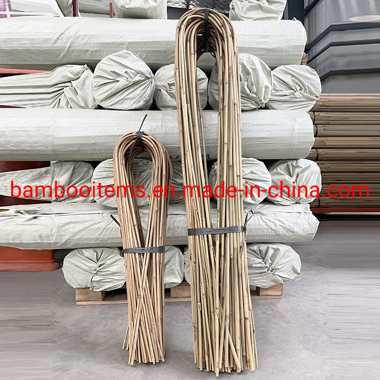 U Shaped Bamboo Stakes /Bamboo Hoop Bamboo Cane for Plants